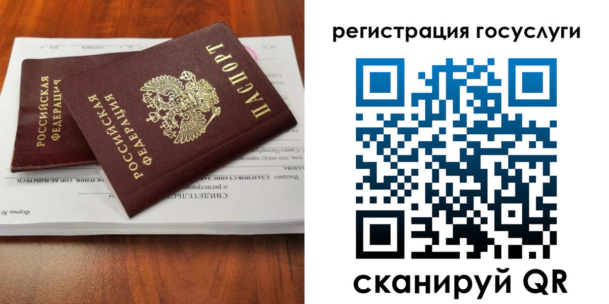 временная регистрация поиск в Новгородской области